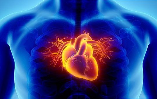 Everything You Need to Know About Coronary Heart Disease