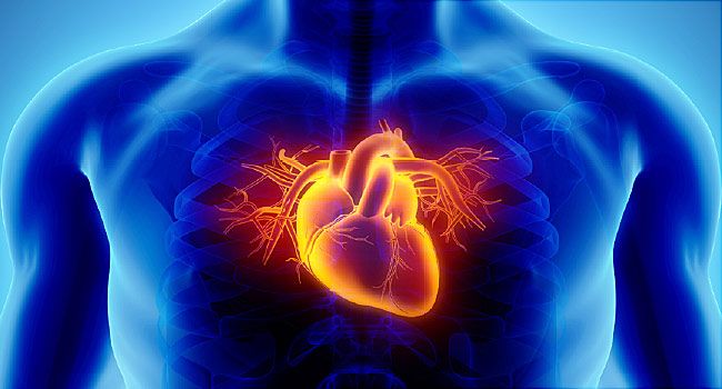 Everything You Need to Know About Coronary Heart Disease